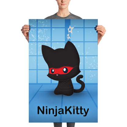 Ninja Kitty Poster