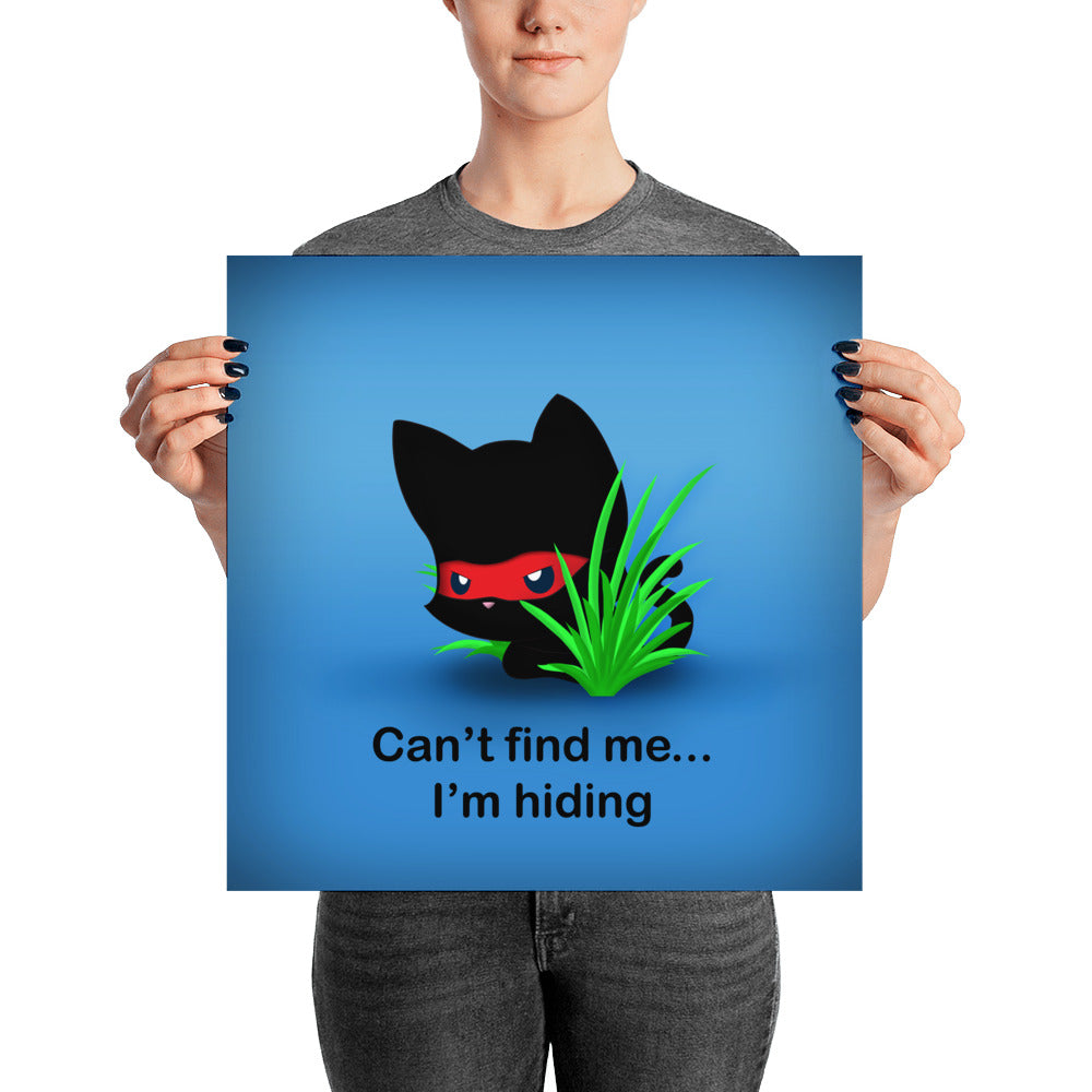 NK Hiding Poster