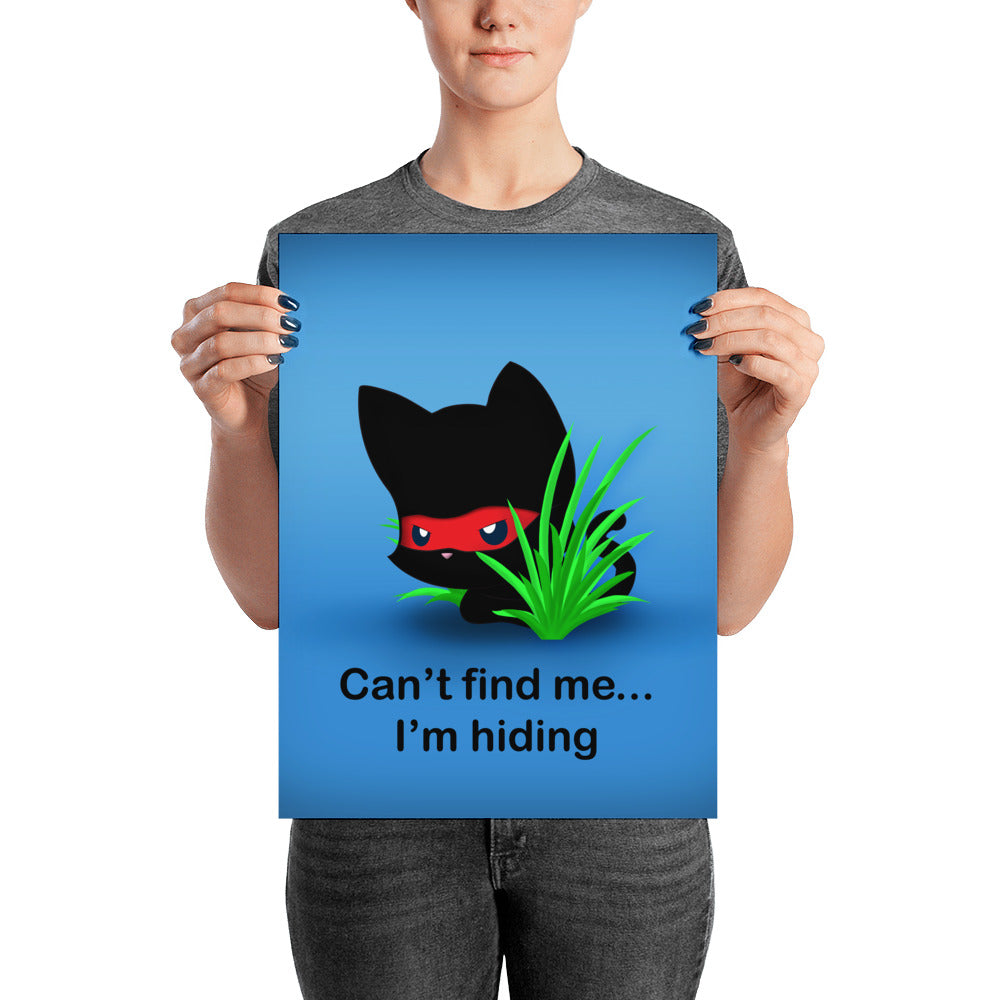 NK Hiding Poster