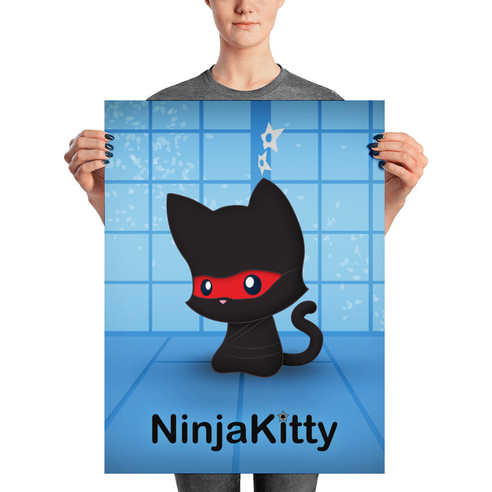 Ninja Kitty Poster