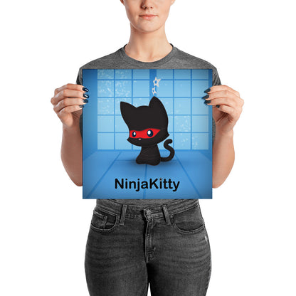 Ninja Kitty Poster