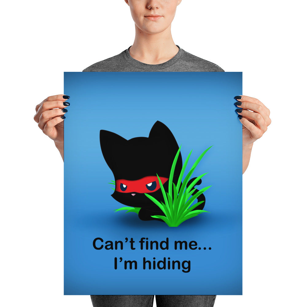 NK Hiding Poster