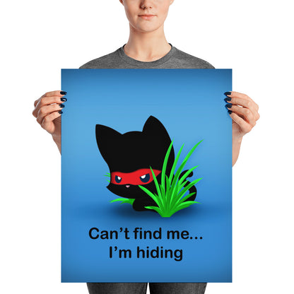 NK Hiding Poster