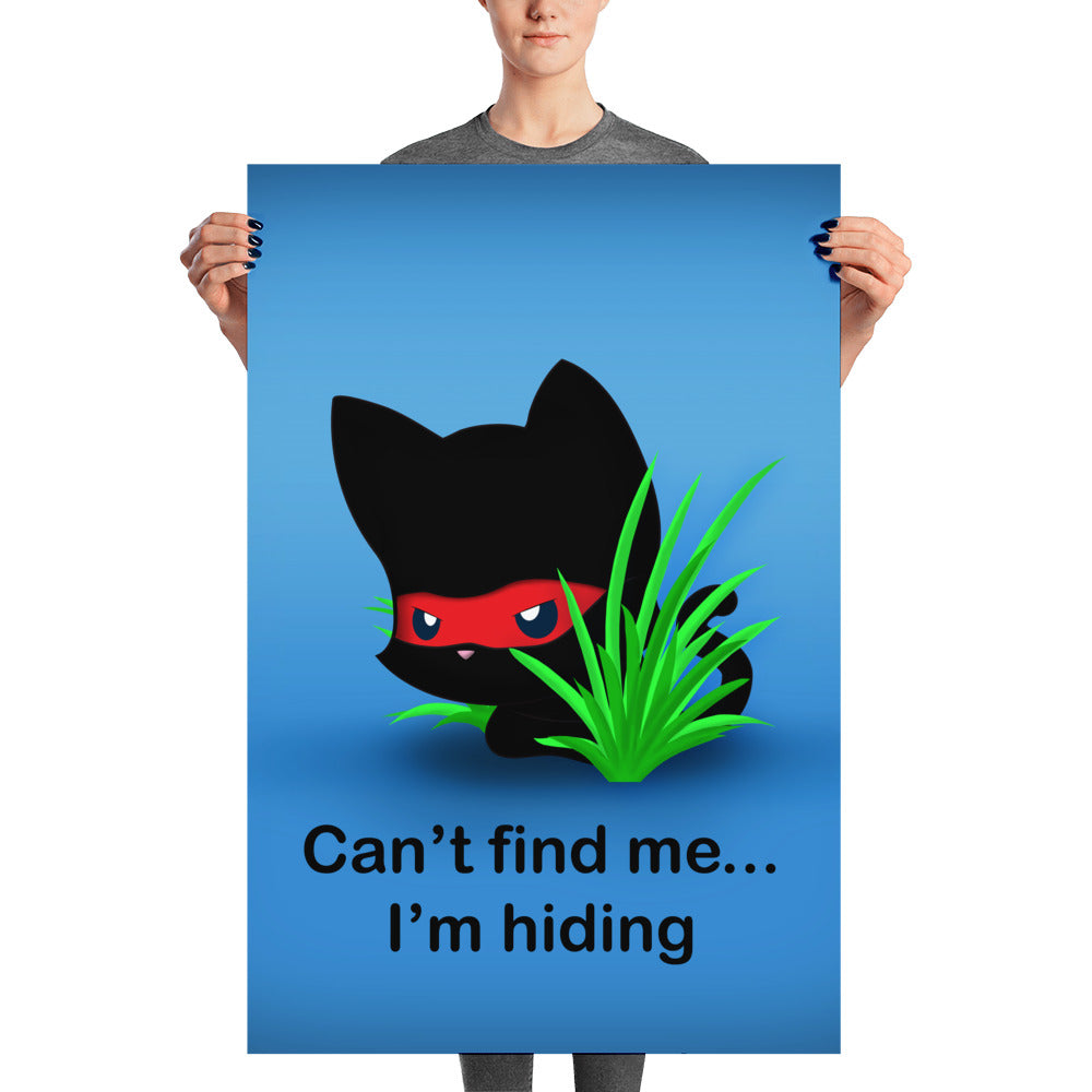 NK Hiding Poster