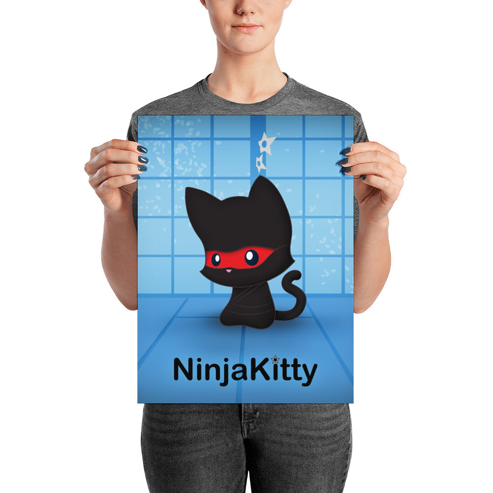 Ninja Kitty Poster