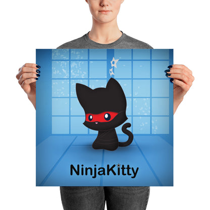 Ninja Kitty Poster