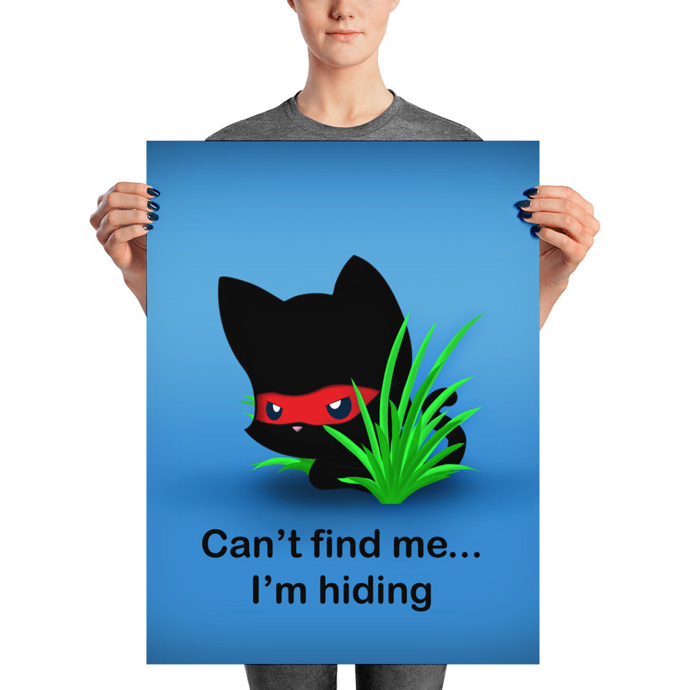 NK Hiding Poster