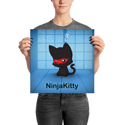 Ninja Kitty Poster