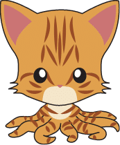 orange kitty 2
